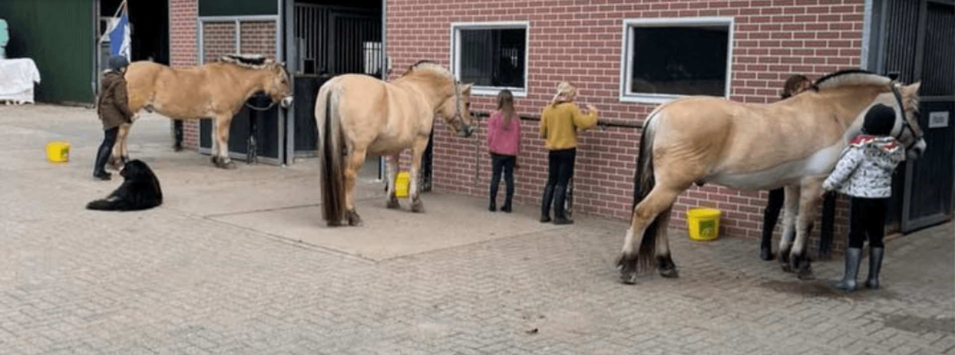 Schermafbeelding 2023-03-11 om 19.59.34